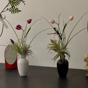 조화화병세트l 실크플라워  틸란드시아 Nova Vase & Succulent Set