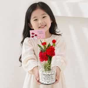 카네이션 조화 화병 세트 이오난사 생일 선물 시들지않는 꽃 스승의날