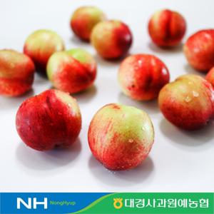 [영천] 1년에 딱 한번 신비복숭아 2kg 정품 농협선별 / 6월말 출고 예약발송