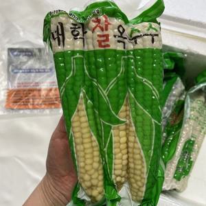 무주 대학 찰옥수수