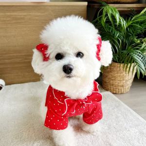 강아지티셔츠 미니별 카라 크롭 맨투맨 봄가을옷 티셔츠 레드 S