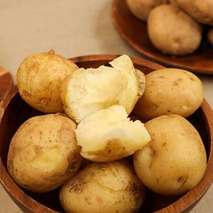 26년산 보성 햇 수미감자 3kg 조림용 외