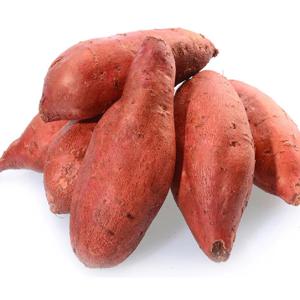 프레쉬푸드 국내산 해남 꿀고구마 한입 세척 3kg (20~50g)