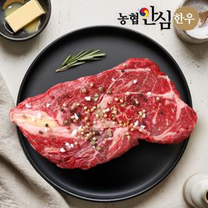 농협안심한우 1등급 한우 등심 500g