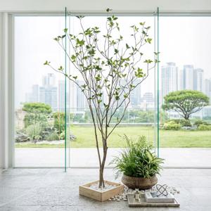 버찌잎 나무 대형 인조 조화나무 180, 210cm 2sizes 조경 인테리어 장식
