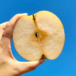 국내산 성환배 가정용 A급 5kg(11-13과) 외 10kg
