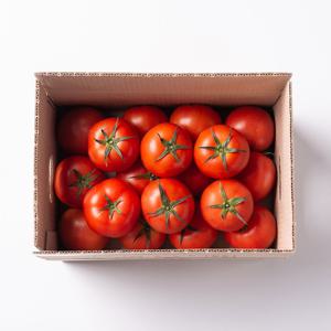 아삭한 완숙토마토 5kg (가정용/특품)