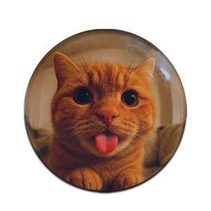 고양이 마우스패드 귀여운 데스크테리어 초극세사 Tabby Pop