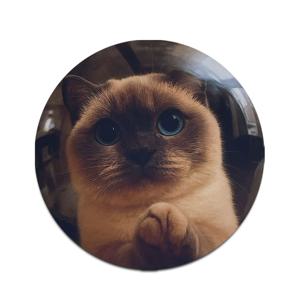 고양이 마우스패드 귀여운 데스크테리어 초극세사 Siamese Gaze