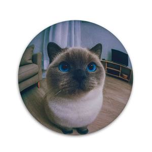 고양이 데스크테리어 마우스패드 초극세사 Siamese Blur