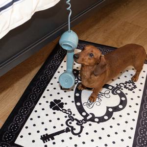 Lucky step rug 럭키 스텝 러그(black, green, pink)