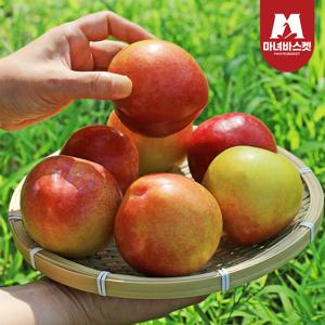 새콤달콤 하우스자두 300g 중과(4-6과 내외) x4팩