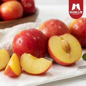 새콤달콤 하우스자두 300g 중과(4-6과 내외) x5팩