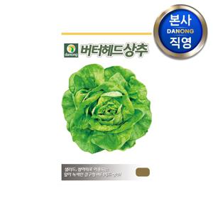 버터헤드 상추 씨앗 1g . 유럽 샐러드 쌈 채소 그린 레이스볼 상추씨 녹색 결구형