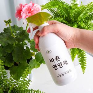 효과빠른 뿌리는 식물비료 바른영양제 500ml 액체비료 식물영양제