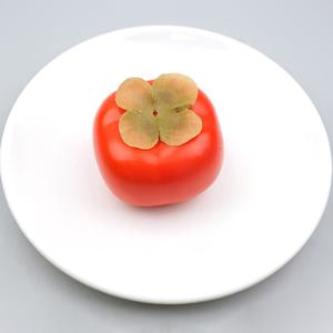 감 모형 단감 7.2cm 과일모형
