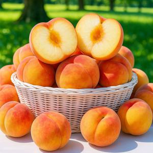 하우스 복숭아 500g 1kg 외