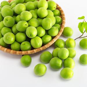 광양 하동 청매실 남고매실 5kg