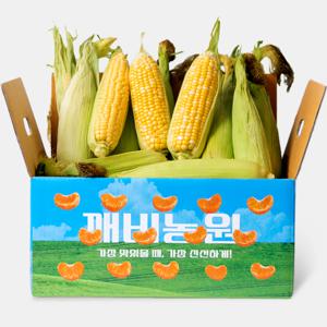 [제주] 6/10일 첫출고 깨비농원 달콤아삭 초당옥수수 5개 / 10개 특품 예약발송