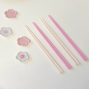 파스텔 컬러 젓가락 2color 홈카페 면요리 가벼운 찹스틱 화이트 핑크