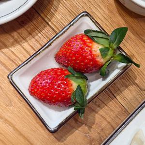 쌍희 고백자 한정식 반찬 소스 종지 직초장기 10.5cm
