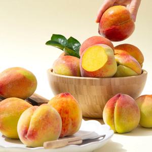 당도보장 하우스 털복숭아 로얄과 500g (2-3과)
