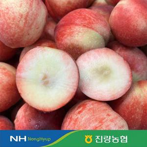 [예약발송][농협선별] 경북 새콤아삭한 천도복숭아 오월도 신선 신비 복숭아 1kg 2kg