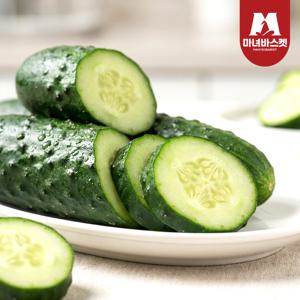 산지직송 아삭 가시오이 2kg (7-10개 내외)