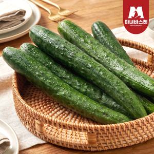 산지직송 아삭 가시오이 4kg (15-19개 내외)
