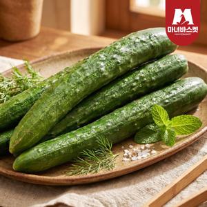 산지직송 아삭 가시오이 5kg (19-24개 내외)