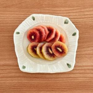 Forest plate 일본 도자기 찬기 16cm 디저트접시