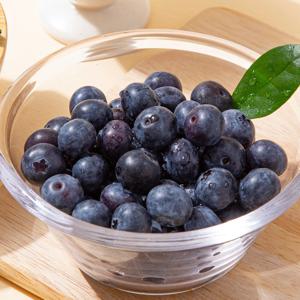 제주직송 생 블루베리 (14mm이상 대) 1kg