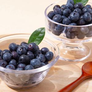 제주직송 생 블루베리 (14mm이상 대) 500g