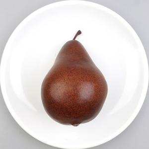 무게감 서양배 모형 브라운 11.7cm 과일모형 WR