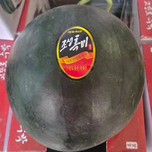 정품 흑수박 꿀수박 흑미수박 국내산 산지직송 3kg 6kg