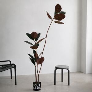 멜라니 고무나무 (Ficus elastica) 조화 대형