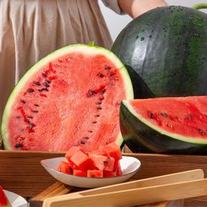 당도높은 프리미엄 흑미수박 7kg