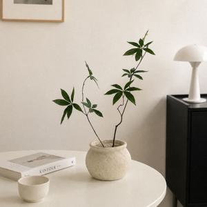 리얼 수목 오브제 파키라 행운목 조화 화분 세트