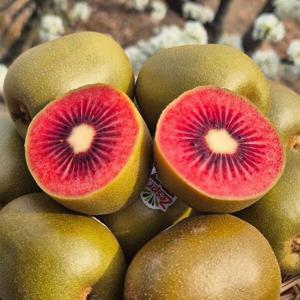 (대전신세계)제스프리 루비레드키위 3.2kg (29 35입) 뉴질랜드산