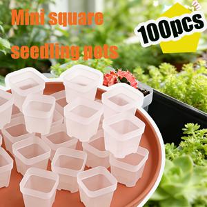 TEMU 100개 4cm/1.57인치 정사각형 모종 화분, 투명하고 유연하며 배수구 포함, 다육식물 및 선인장과 같은 씨앗 파종, 발아, 모종용