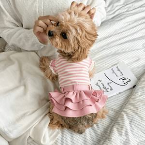 TEMU 핸드메이드 반려동물 의류 - 셔츠, 강아지 고양이용 펫옷, 티셔츠, 스커트, 미니 스커트, 다양한 색상 선택 가능