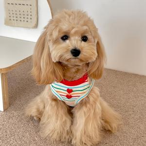 TEMU 귀여운 패턴의 강아지 조끼, 실내외 사용 가능, 봄, 여름, 가을용 통기성 좋고 시원함