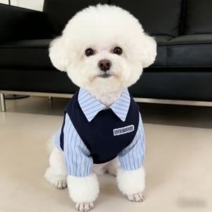 TEMU 인스타 스타일 강아지 후드티, 영국 스타일 투피스 애완동물 의상, 비숑 테디를 위한 귀여운 강아지 셔츠, 애완 동물 사진 소품