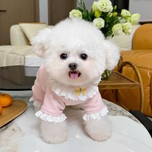 TEMU 새로운 가을/겨울 반려동물 의류. 테디, 비숑, 포메라니안 및 기타 소형견을 포함한 고양이와 강아지용 레ース 장식 네발 옷. 크리스마스 및 새해 선물, 사계절용. 칼라 장식에 두 가지 랜덤 레ース 패턴 특징.