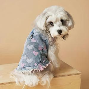 TEMU 애완견 옷 봄/가을 민소매 조끼, 소형견용 (슈나우저, 비숑, 시바인우, 요크셔, 고양이 등에 적합)