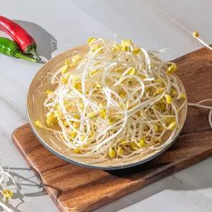 산소콩나물1kg