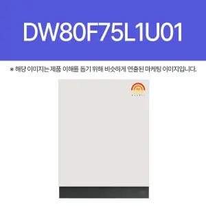 삼성전자 DW80F75L1U01 (HM)