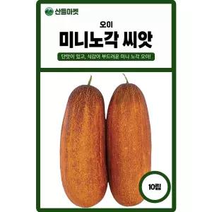 미니 노각오이 씨앗 10립 단맛이 있고 부드러운 노각 오이씨 종자