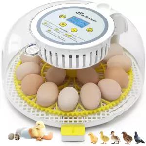 자동 계란 회전 습도 표시 기능이 있는 부화용 Sailnovo 8 인큐베이터 캔들러 일수 및 닭 농장 학교