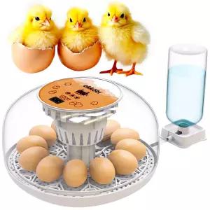 자동 터너 및 습도 조절 기능이 있는 Okkobi M2 인큐베이터 2/24 360 뷰 사용하기 쉽고 청소하기